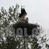 usługi alpinistyczne