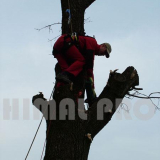 usługi alpinistyczne
