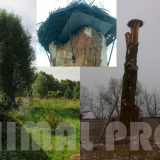 usługi alpinistyczne