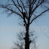 usługi alpinistyczne