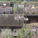 usługi alpinistyczne