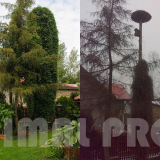 usługi alpinistyczne